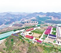 <b>“链”式结构聚“链”</b>
