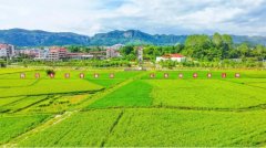 村落复兴典型案例丨大洋乡：立异“共享