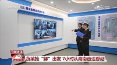 万象“耕”新进行时 蔬菜抢“鲜”7小时
