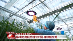 黑紫色玉米、棕色秋葵……你见过的、没